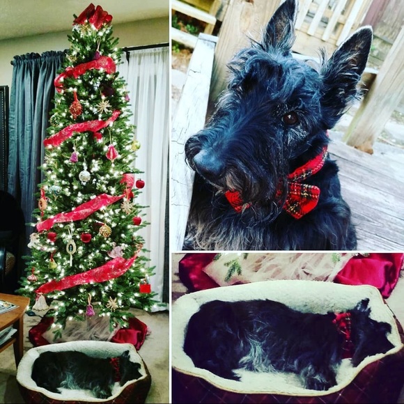 ❤️The love of my life RIP 12/2/18❤️ - Picture 6 of 7